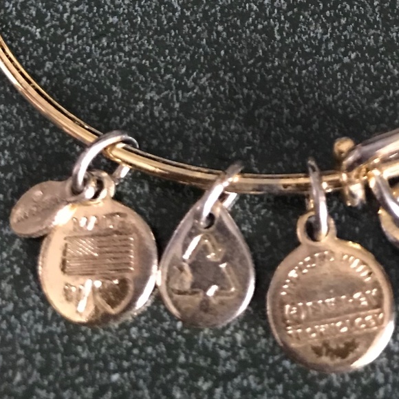 Alex and Ani Expandable Wire Bracelet - Picture 11 of 12